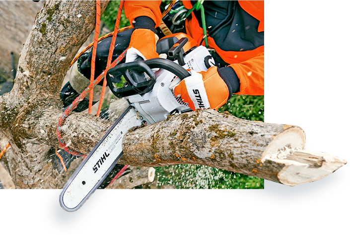 Stihl maroc motoculteur débroussailleuse taille haie jardinage bûcheronnage sylviculture
